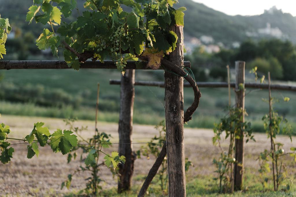 Relais Casale Valigi Βίλα Νάρνη Εξωτερικό φωτογραφία